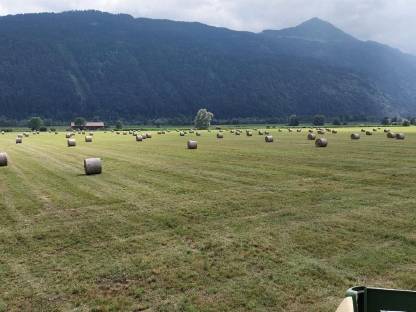 Heuballen und Silage