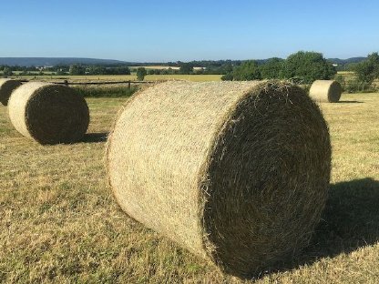 Heuballen 1. und 2. Schnitt, ampferfrei