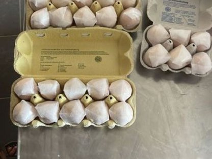 Bild 7:Bruteier Brahma Porzellan, große Rasse