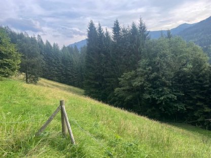 Wiese in der Wildschönau unentgeltlich zu verpachten