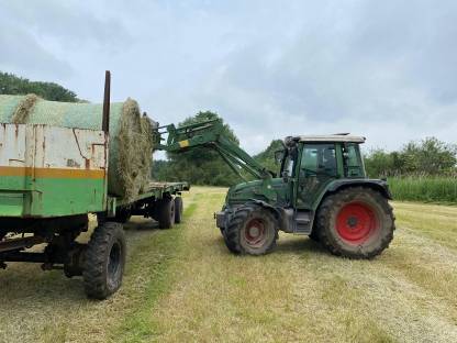 Bild 4:Landwirtschaftliche Dienstleistung, hauptsächlich Ladearbeit