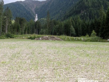 Bild 3:Rekultivierung