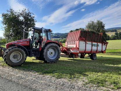 Milchviehbetrieb sucht Pachtflächen in Urfahr-Umgebung