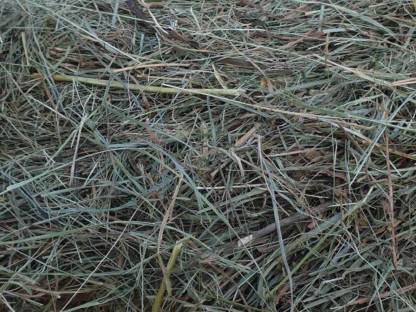 Bild 7:Heu, Stroh zu verkaufen