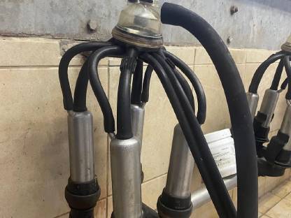 Bild 3:De Laval Melkstand 2x4