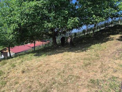 Bild 8:Einstellplatz für Pensionisten zu vergeben