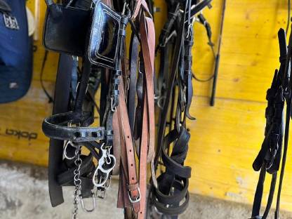 Bild 8:Wagonette für 8 Personen