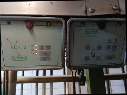 Bild 3:Melkstand Westfalia Tandem Doppel Drei + 1x Quer