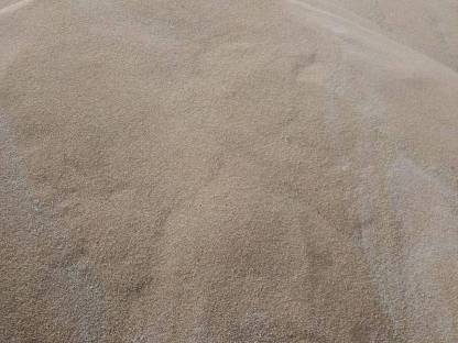 Bild 2:Futterweizen zu verkaufen