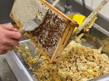 Bild 3:Verkaufen Honig in Hobbock 35-40 kg, Blütenhonig