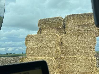 Bild 3:Stroh B-Ware zum Einstreuen