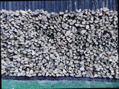 Brennholz frisch