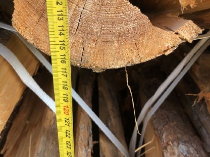 Bild 3:Brennholz Bündel Kiefer