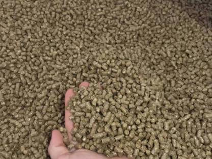 Bild 3:Strohpellets Einstreu