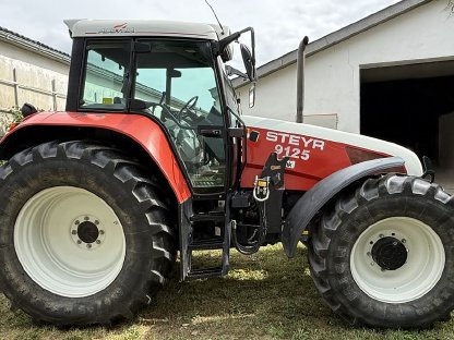 Bild 2:Traktor Steyr 9125 + Frontlader Hauer POM S110, 4000h