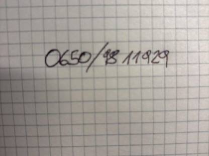 Bild 4:Trächtige Pinzgauerkalbin schwarz