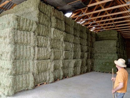 Bild 6:Stroh-Heu-Silageballen-Maissilageballen