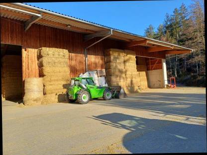 Bild 4:Stroh gehäckselt, geschnitten