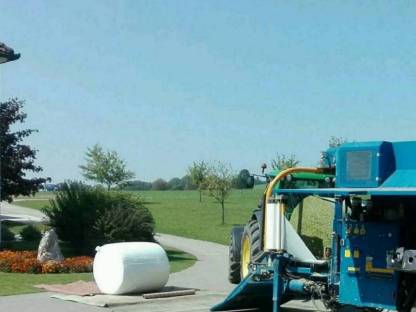 Bild 2:Silomais in Ballen