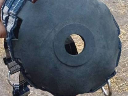 Bild 2:Verkaufe Fressbremse Gr. Cob