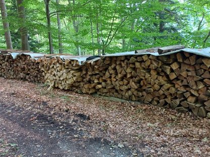 Bild 3:Brennholz Buche und Fichte