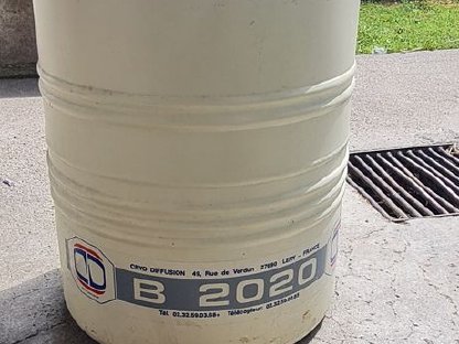 Bild 2:Besamungscontainer