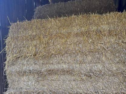 Bild 4:Stroh Quaderballen Ernte 2025