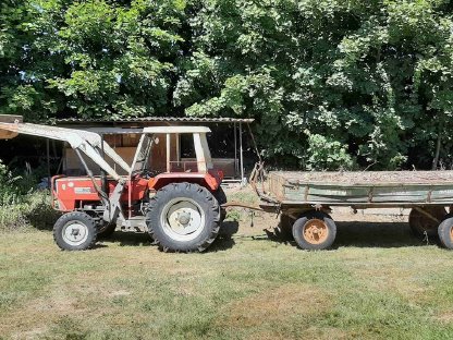 Bild 4:VERKAUFT    Steyr 540, 43 PS, Bj. 1971