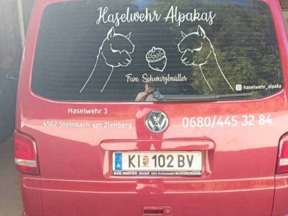 Bild 6:Hubgerüst starke Ausführung