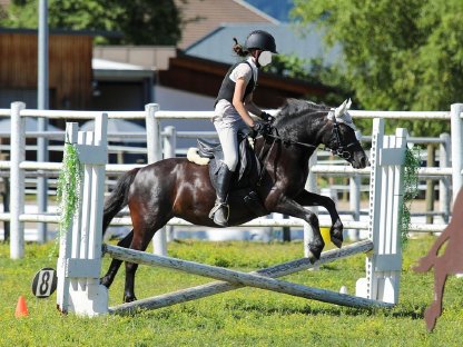 Bild 5:Traumpony 125 m, gut geritten, Herz aus Gold