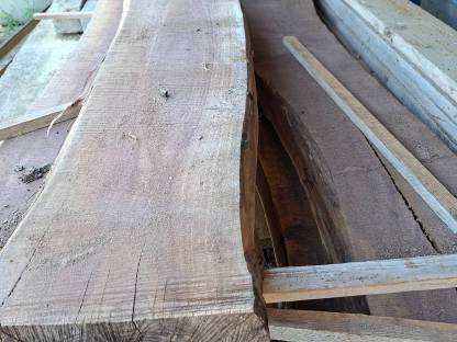 Bild 3:Schwarznuss Holz Nussholz