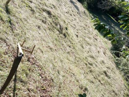 Bild 2:Pferdeheuballen, handgemäht