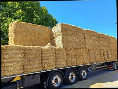 Bild 5:Stroh gehäckselt, geschnitten