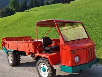 Bild 4:Reform Muli 40