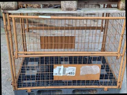 Bild 4:Gitterbox faltbar