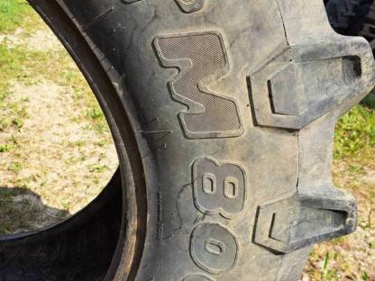 Bild 2:Trelleborg 600/65/34