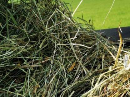 Bild 2:Heu Grummet Rundballen