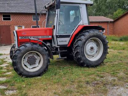 Bild 6:Massey Ferguson 3065E Autotronic Original Top Zustand