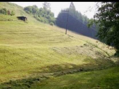Wiese zum Beweiden oder Mähen