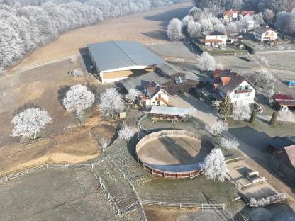 Bild 2:Einstellplatz, Paddockbox, Offenstall