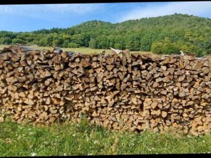 Brennholz à Festmeter