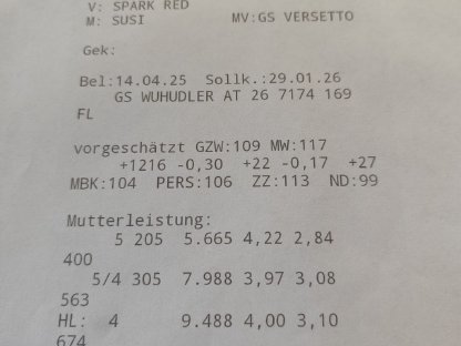 Bild 5:Trächtige Zuchtkalbinnen