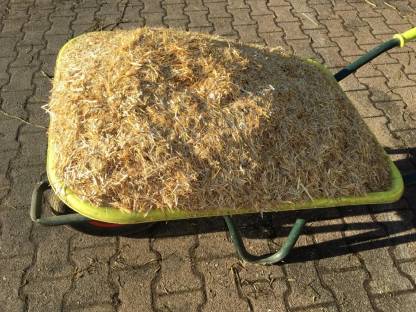 Gemulchtes Stroh
