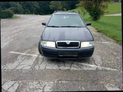 Bild 3:Skoda Octavia 4x4