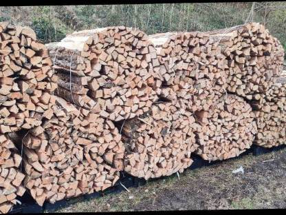 Bild 2:Brennholz