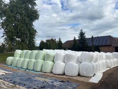 Bild 2:Maisballen 2025