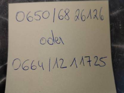 Bild 9:Minizwergziegenpärchen