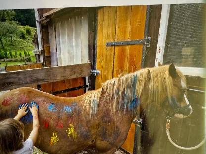 Bild 2:Welsh A Kinderpony