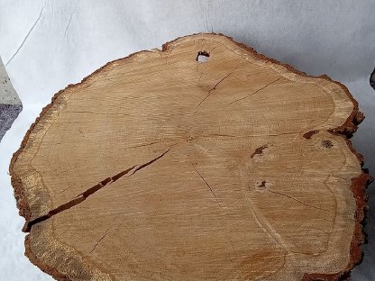 Bild 2:Baumscheibe XXL