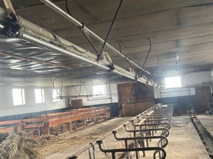 Bild 2:Schauer Rinderaufstallung